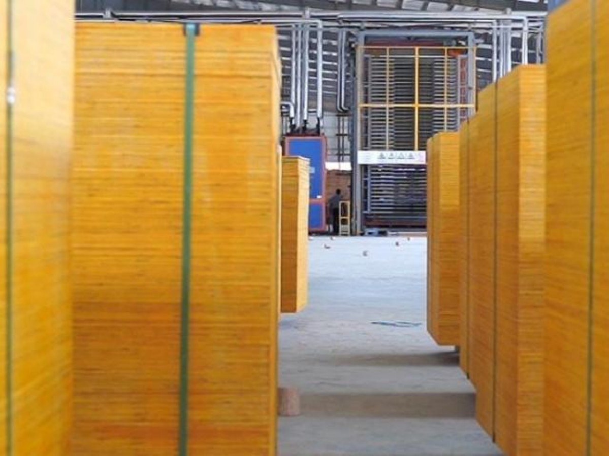 常见木材的特性与用途 一篇看懂木业小知识